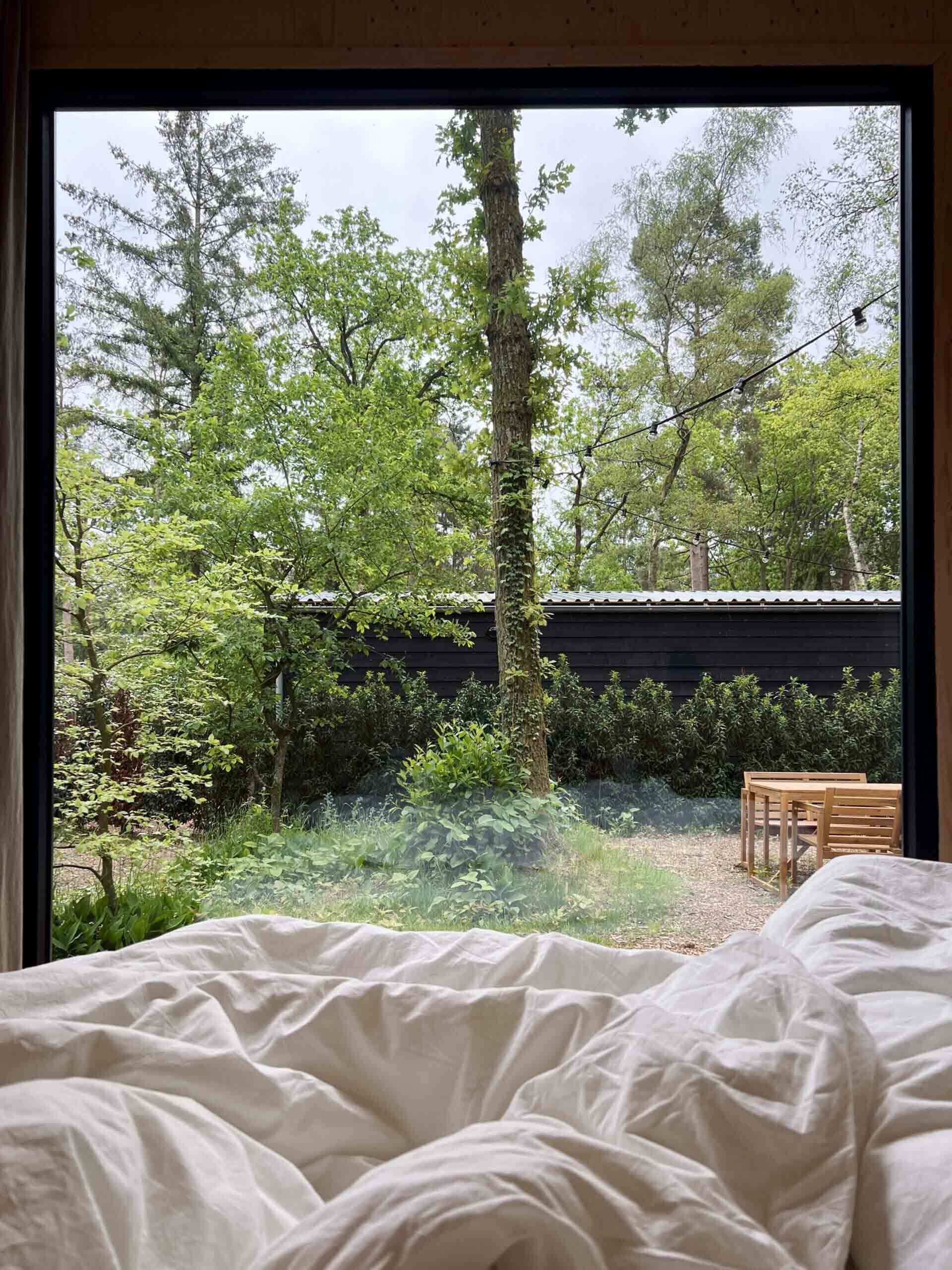 Garden View from Bedroom